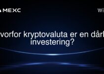Hvorfor kryptovaluta er en dårlig investering?