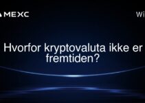 Hvorfor kryptovaluta ikke er fremtiden?