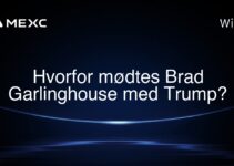Hvorfor mødtes Brad Garlinghouse med Trump?
