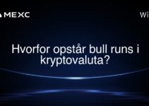 Hvorfor opstår bull runs i kryptovaluta?