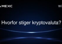 Hvorfor stiger kryptovaluta?