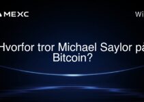 Hvorfor tror Michael Saylor på Bitcoin?