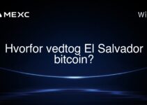 Hvorfor vedtog El Salvador bitcoin?