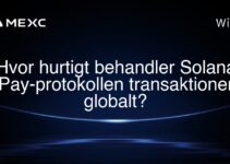 Hvor hurtigt behandler Solana Pay-protokollen transaktioner globalt?