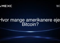 Hvor mange amerikanere ejer Bitcoin?
