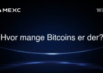 Hvor mange Bitcoins er der?