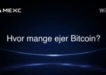 Hvor mange ejer Bitcoin?