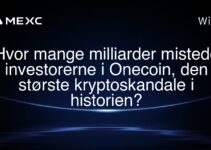 Hvor mange milliarder mistede investorerne i Onecoin, den største kryptoskandale i historien?