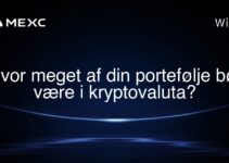 Hvor meget af din portefølje bør være i kryptovaluta?