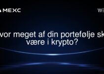Hvor meget af din portefølje skal være i krypto?