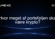Hvor meget af porteføljen skal være krypto?
