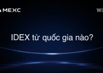 IDEX từ quốc gia nào?