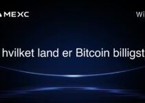 I hvilket land er Bitcoin billigst?