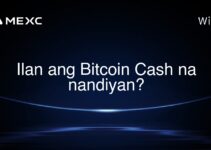 Ilan ang Bitcoin Cash na nandiyan?