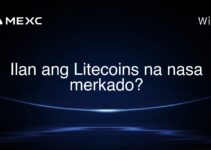 Ilan ang Litecoins na nasa merkado?