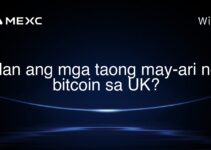 Ilan ang mga taong may-ari ng bitcoin sa UK?