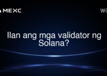 Ilan ang mga validator ng Solana?