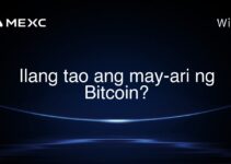 Ilang tao ang may-ari ng Bitcoin?