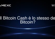 Il Bitcoin Cash è lo stesso del Bitcoin?