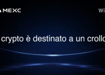 Il crypto è destinato a un crollo?