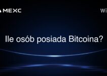 Ile osób posiada Bitcoina?