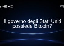 Il governo degli Stati Uniti possiede Bitcoin?
