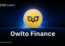 Šta je Owlto Finance? 5 načina da zaradite poene i dobijete airdrop