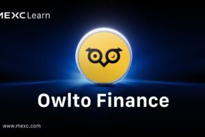 Ինչ է Owlto Finance-ը: 5 եղանակներ վարկեր վաստակելու և օդային բաժանորդագրություններից առաջ անցնելու համար Ինչ է Owlto Finance-ը: 5 եղանակներ վարկեր վաստակելու և օդային բաժանորդագրություններից առաջ անցնելու համար