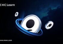 Ce este Privy? O privire aprofundată asupra platformei de portofel Web3 pentru întreprinderi de încredere de către 75M+ conturi