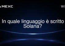 In quale linguaggio è scritto Solana?