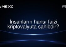 İnsanların hansı faizi kriptovalyuta sahibdir?