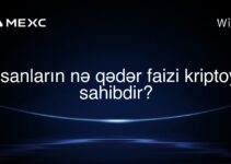 İnsanların nə qədər faizi kriptoyə sahibdir?
