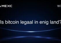 Is bitcoin legaal in enig land?