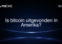 Is bitcoin uitgevonden in Amerika?