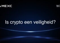Is crypto een veiligheid?