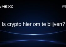 Is crypto hier om te blijven?