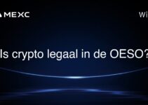 Is crypto legaal in de OESO?