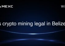 Is crypto mining legal in Belize?