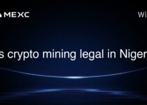 Is crypto mining legal in Niger?