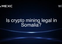 Is crypto mining legal in Somalia?