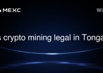 Is crypto mining legal in Tonga?