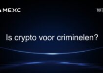 Is crypto voor criminelen?