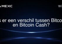 Is er een verschil tussen Bitcoin en Bitcoin Cash?