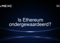 Is Ethereum ondergewaardeerd?