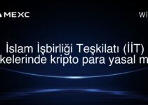 İslam İşbirliği Teşkilatı (İİT) ülkelerinde kripto para yasal mı?