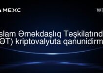 İslam Əməkdaşlıq Təşkilatında (İƏT) kriptovalyuta qanunidirmi?