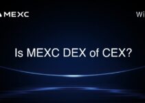 Is MEXC DEX of CEX?