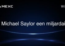 Is Michael Saylor een miljardair?