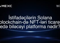 İstifadəçilərin Solana blockchain-də NFT-ləri ticarət edə biləcəyi platforma nədir?