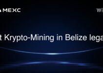 Ist Krypto-Mining in Belize legal?